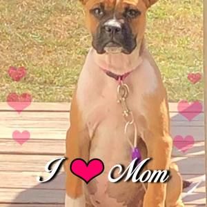 Meet your Posher, Karen